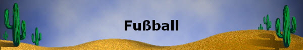 Fu�ball